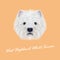 Vector Illustrated Portrait of West Highland White Terrier.