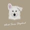 Vector Illustrated Portrait of White Swiss Shepherd dog