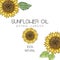 Vector illustration with 3 handdrawn sunflowers on white background. Design for sunflower oil, sunflower packaging, natural