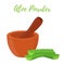 Vector illustration of aloe vera with pestle, mortar for herbal powder. Cartoon style