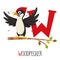 Vector Illustration Of Alphabet Letter W And Woodpecker