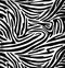 Vector illustration of animals skins. Zebra skin