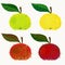 Vector illustration of apple fruits