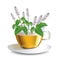 Vector illustration aromatic mint tea in a transparent cup