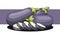 Vector illustration of aubergines with slices on a purple stripe.