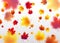 Vector illustration autumn flying red, orange, brown, yellow maple leaves