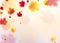 Vector illustration autumn flying red, orange, brown, yellow maple leaves