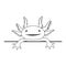 Vector illustration of axolotl salamander isolated on white. Peeking cute axolotl smile. Drawing in outline style.