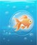 Vector illustration on background Goldfish aquarium fish silhouette illustration. Colorful cartoon flat aquarium fish ico