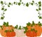 Vector illustration of a background of orange and white pumpkins