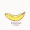 Vector illustration of banana logo template