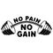 Vector illustration barbell and `No pain - no gain` inspirational lettering