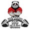 Vector illustration barbell and strong panda.