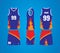 Vector Illustration Basketball Jersey Design Number and Name Sample