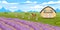 Vector illustration of a beautiful summer farm. Cartoon landscape with lavender field, barn, horse, fence and mountains the