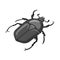 Vector illustration of beetle and green symbol. Collection of beetle and dung stock symbol for web.