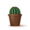 Vector illustration of big golden barrel cactus in brown clay pot isolated on background