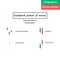 Vector illustration. binary options. Green and red candle. Trade