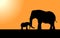 Vector illustration of a black silhouette of a large elephant with a baby elephant are touching their trunks against the