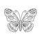 Vector illustration of black and white butterfly contour