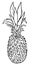 Vector illustration of black and white pineapple.