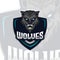 Vector illustration Black Wolves logo esport