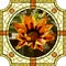 Vector illustration of blooming orange gazania.