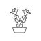 Vector illustration of blooming zygocactus. Line icon of holiday