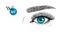 Vector illustration of blue female eye with extended eyelashes and eyebrow. Barbie doll set.