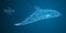 Vector illustration of blue geometric dolphin constructed with branching lines. Abstract vector of dolphin in the form