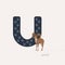 Vector illustration. Blue letter U with urials footprints, a cartoon urial. Animal alphabet.