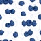 Vector illustration of blueberry pattern. Vector seamless blueberries.