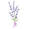 Vector illustration of a bouquet of lavender flowers on a white background. Drawing elements for romantic greeting cards