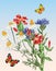 Vector illustration of bouquet wildflowers with flying butterflies