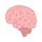 Vector illustration of brain in cartoon style. Human anatomy. Symbol of mind, intellect or thinking