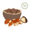 Vector illustration Brazil nut. A handful of shelled nuts in shell and .