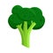 Vector illustration of broccoli and cabbage icon. Set of broccoli and doodle stock symbol for web.
