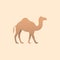 Vector illustration of brown camel.