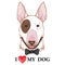 Vector illustration of a bullterrier