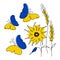 Vector illustration with butterflys, wheat and sunflower in nationality Ukrainian flag color. Global politics, NO WAR