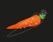 Vector illustration of a carrot fruit. Carrot vector icon.