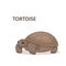 Vector illustration, a cartoon brown bid tortoise, isolated on a white background.