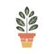 Vector illustration in cartoon flat style. Large natural houseplant. Beautiful trendy decorative plants for home and