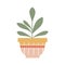 Vector illustration in cartoon flat style. Large natural houseplant. Beautiful trendy decorative plants for home and