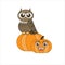 Vector illustration of cartoon owl and pumpkin man in autumn