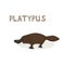 Vector illustration, a cartoon platypus, isolated on a white background. Animal alphabet.