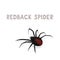 Vector illustration, a cartoon redback spider, isolated on a white background. Animal alphabet.