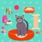 Vector illustration of cat and different Pet care accessories for cats. icons collection in flat style.