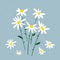 Vector illustration of chamomile. Bouquet of daisies on a blue background. Design for herbal tea, natural cosmetics, health care