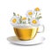 Vector illustration chamomile tea in a transparent cup